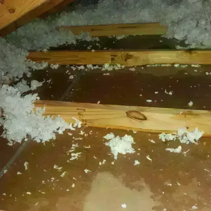 Attic Water Damage in Frisco, TX