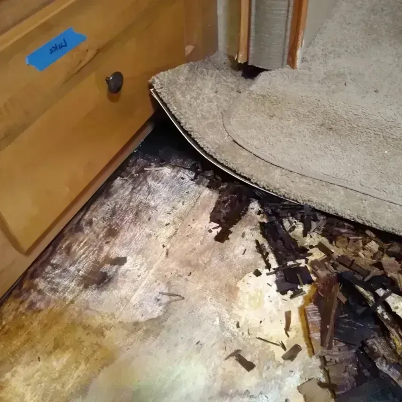 Wood Floor Water Damage in Frisco, TX